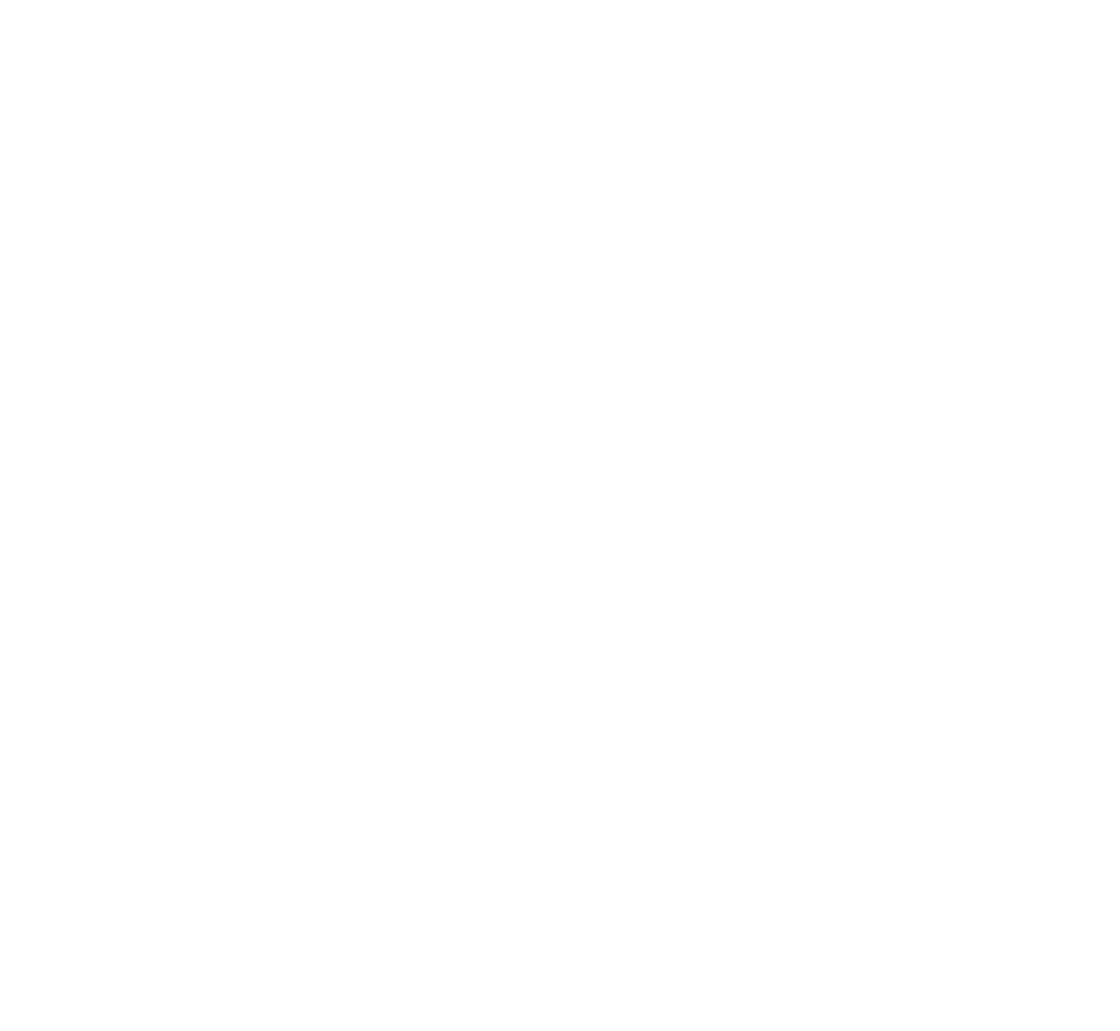 LMC Racing Logo